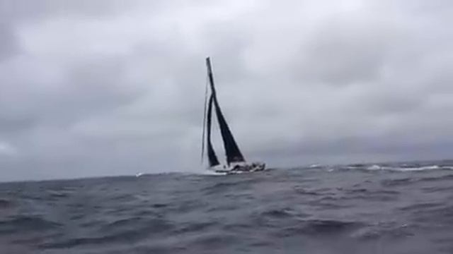 Пока, Team Abu Dhabi! смотреть онлайн