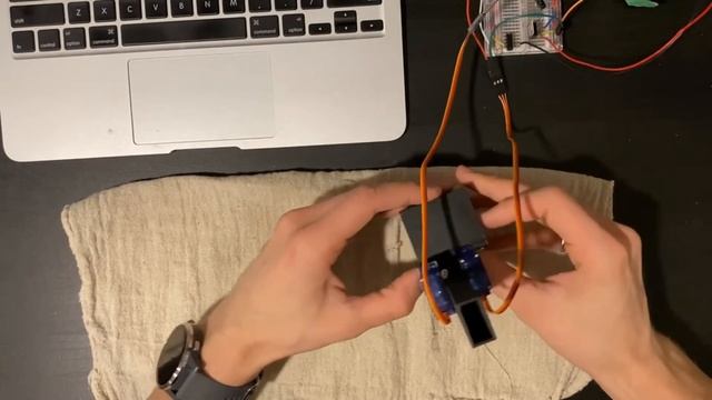 Training my dog with Arduino and Python смотреть онлайн