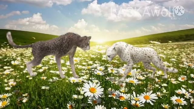 клип WildCraft-karna.val"твои ромашки„ смотреть онлайн