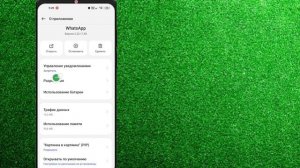 Проблема с подключением звонка в WhatsApp. Исправить всего 2 минуты. Проблема со звонком в WhatsApp