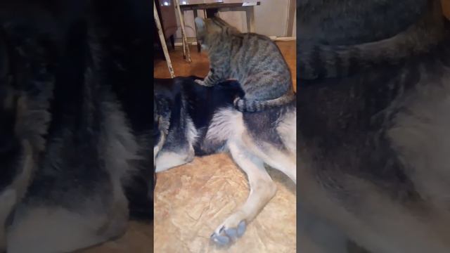 Василий делает массаж смотреть онлайн