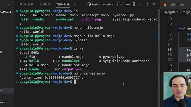 First look at the Mojo language's desktop version смотреть онлайн