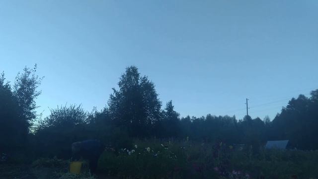 Убираю лук, полю грядки. смотреть онлайн