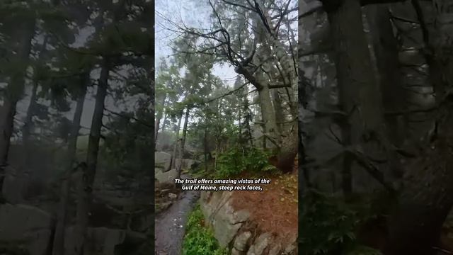 Spectacular Review of the Ocean Path Trail, Acadia National Park смотреть онлайн
