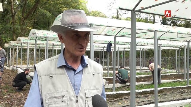 Открытие питомника самшита 04.11.2020 смотреть онлайн