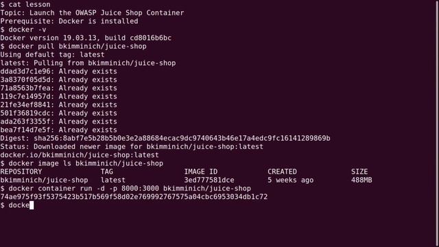 OWASP juice shop on Docker смотреть онлайн