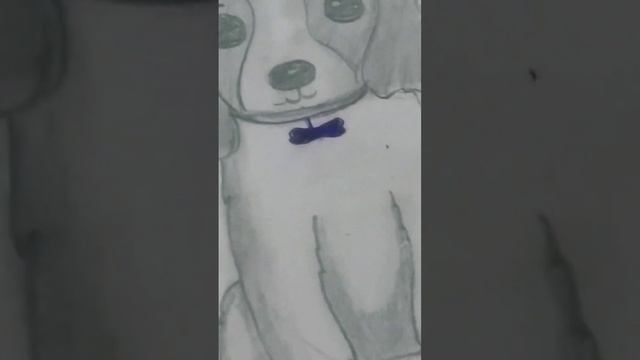 cute dog 🐶🐶 #sketch #drawing ❤️❤️❤️❤️ смотреть онлайн