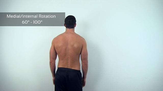 Active Range of Motion: Shoulder смотреть онлайн