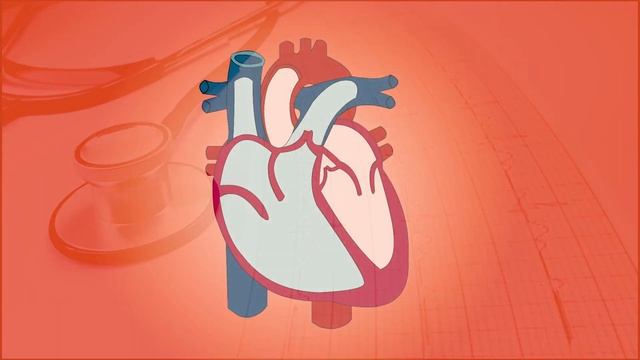 Почему Сердце Бьется Всю Жизнь и не Устает при этом смотреть онлайн