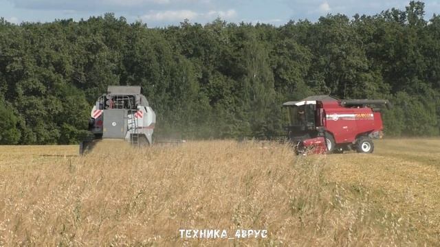 Убирают последние гектары ячменя - 2020 Красивая и дружная уборочная Полесье, Вектор 410 и ДОН-1500 смотреть онлайн