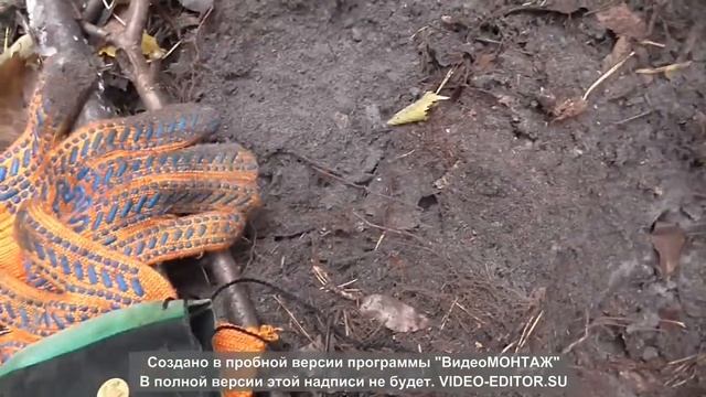 Первые шаги с Фортуной М2 смотреть онлайн
