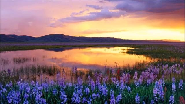 А.В.Клюев - Эмоциональная Ровность, Глубинный Покой - Главный Критерий Духовных Достижений! смотреть онлайн