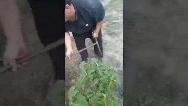 Буроямы диаметр от 50 до 300мм WhatsApp 8 923 507 86 36 смотреть онлайн