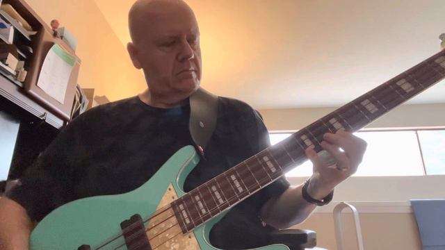 A little exploration on my @musicvoxguitars3863 MI-5 12 string bass this morning. смотреть онлайн