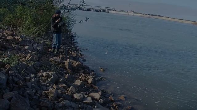 Душевная рыбалка на Сырдарье смотреть онлайн