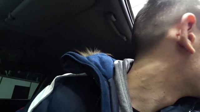 AKRAPOVIC ВЫХЛОП НА ТОЙОТА КАМРИ 3.5 смотреть онлайн