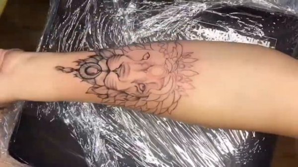 Tattoo lion time lapse