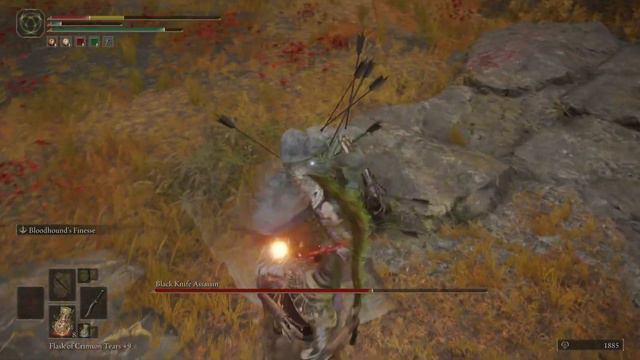 ELDEN RING Black Knife Assassin - Altus Plateau смотреть онлайн