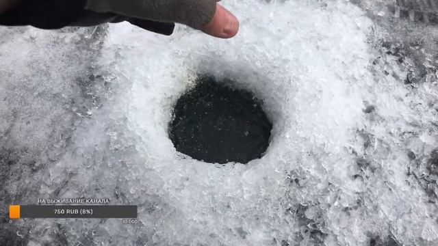 Стрим! Весенняя рыбалка 2022 по последнему льду. Ловля окуня на мормышку Шарташ