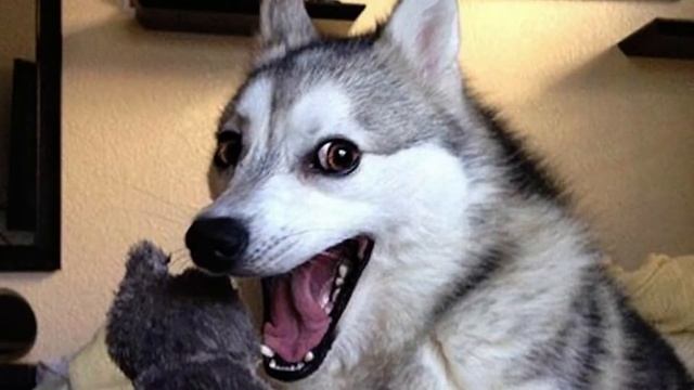 КАК МЕНЯ КИНУЛ БАРЫГА смотреть онлайн