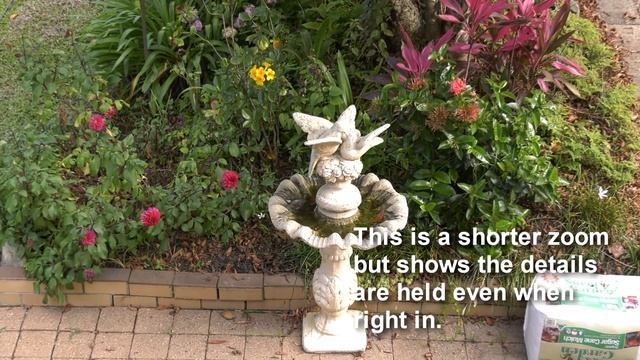 Sample HD Footage from Panasonic HC X1 4K UHD смотреть онлайн