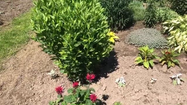 Идеальная дача маленькой женщины/Часть2/ смотреть онлайн