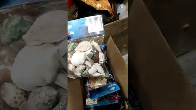 Ракушки, галька цветная Распаковка смотреть онлайн