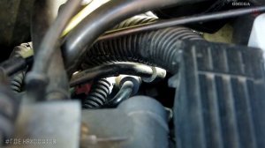 Клапан адсорбера[#Где находится]