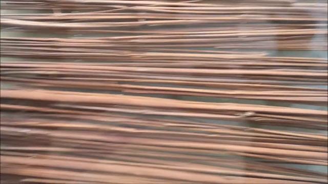 Настоящие МУМИИ Египта и 21 метр древнего папируса