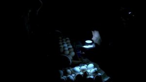 инкубатор Блиц-48,инкубация куриный яиц, овоскопирование, брудер