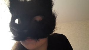 коты воители