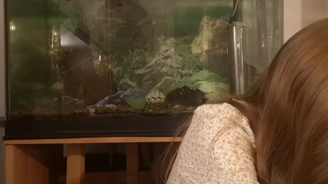 Жизнь без тональника. Самые используемые продукты за месяц ?? смотреть онлайн