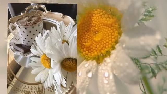 Чудесного настроения мне и...! Музыка "Вальс - Минутка" - Frederic Chopin. смотреть онлайн