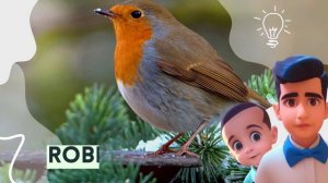 Learn Birds & Sounds | Birds For Kids | Bird Species in English #birds #bird   @kidcohomeschooling