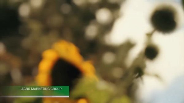 Презентация компания Agro Marketing Group AMG. (by Agro Pictures)