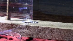 ЛЕНТОРЕЗ (бутылкорез) ИЗ ПЛАСТИКОВЫХ БУТЫЛОК СВОИМИ РУКАМИ БЫСТРО