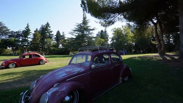 NorCal VW/Porsche Treffen 2023 смотреть онлайн