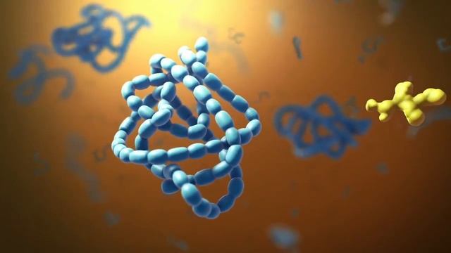 Строение клетки смотреть онлайн