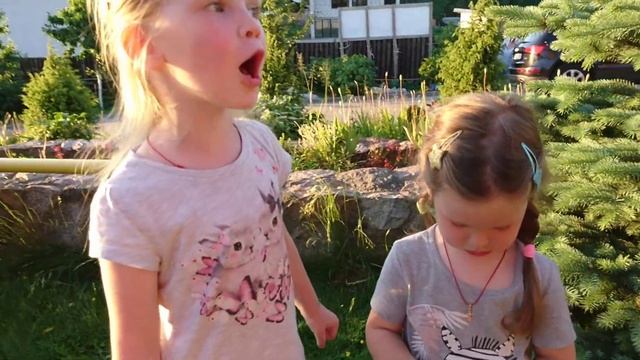 К нам прилетел майский жук. #дети #видеодлядетей #kids #kidsvideo #майскийжук