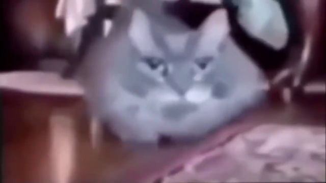 телевизор туту телевизор туруру смотреть онлайн