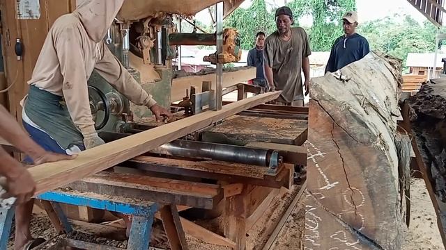 lubang kayu bengkirai ini sebesar ular piton raksasa, смотреть онлайн