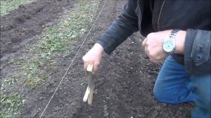 ПРАВИЛЬНАЯ посадка ЧЕСНОКА ОСЕНЬЮ (под зиму). Делюсь ВСЕМИ СЕКРЕТАМИ!