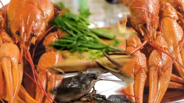 Раки разведение как бизнес идея смотреть онлайн