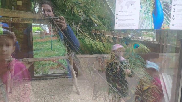 Ленинградский зоопарк ч.3 смотреть онлайн