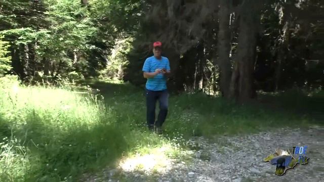 Гоначхирское ущелье в Домбае смотреть онлайн