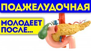 Наконец-то раскрыли! Поджелудочная железа исцеляется при голоде и...