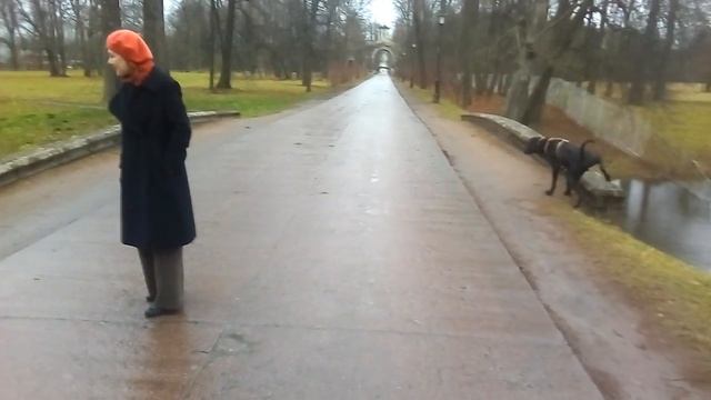 18 ноября 2018 г. Солнце Хмари Жил Был Пес Моя Жизнь Кино Музей Пса смотреть онлайн