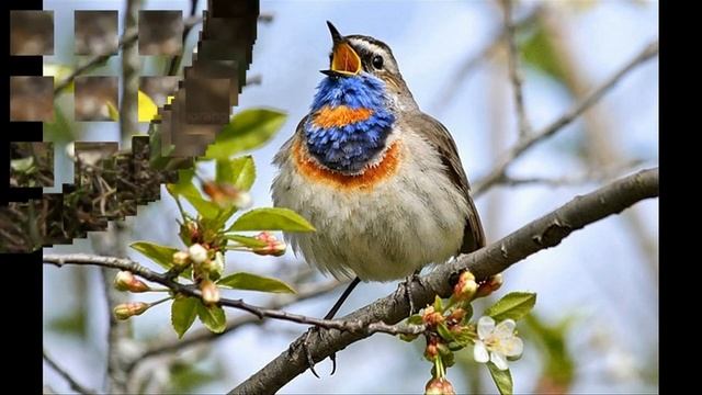 Стихотворение Анны Днепровской "Весна в пути!" смотреть онлайн