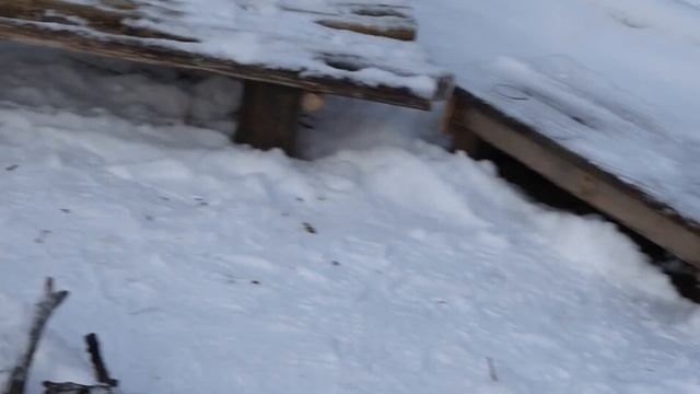 ботсад Новосибирск, фокусировка lumix tz35 смотреть онлайн