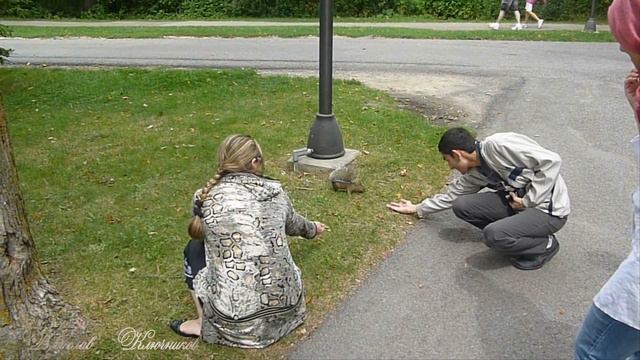 Белочка 1 смотреть онлайн